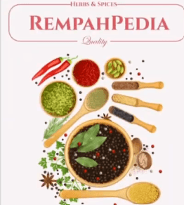 Rempahpedia - Spice Recognition Application